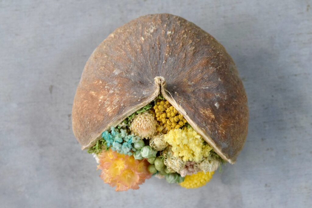 東京の花屋。幸福をもたらすと言われる縁起物のブッダナッツを器にした叢屋Kusamurayaドライフラワーアレンジ 誕生日・記念日ギフトや自宅インテリアにおすすめ。