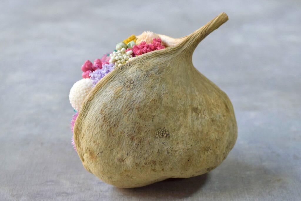 東京の花屋。幸福をもたらすと言われる縁起物のブッダナッツを器にした叢屋Kusamurayaドライフラワーアレンジ 誕生日・記念日ギフトや自宅インテリアにおすすめ。