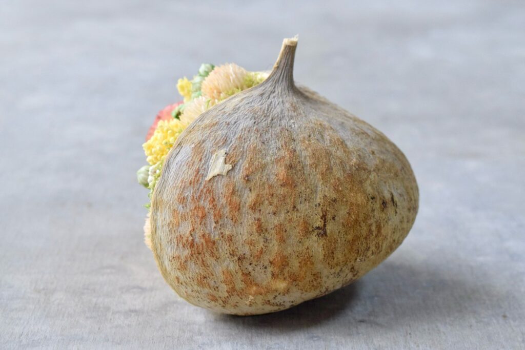 東京の花屋。幸福をもたらすと言われる縁起物のブッダナッツを器にした叢屋Kusamurayaドライフラワーアレンジ 誕生日・記念日ギフトや自宅インテリアにおすすめ。