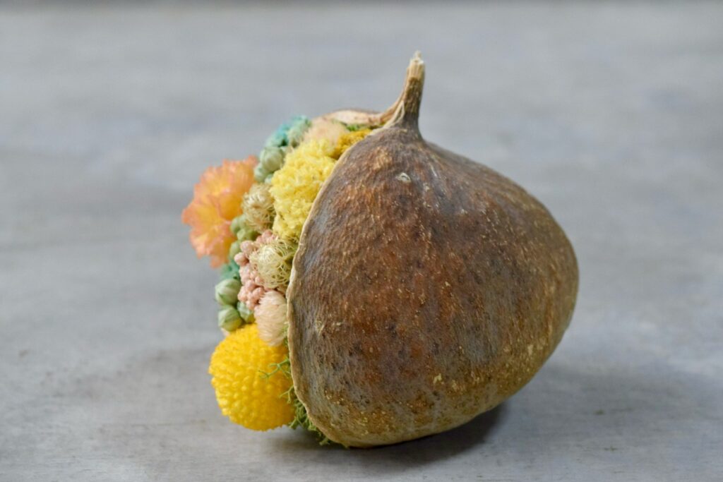 東京の花屋。幸福をもたらすと言われる縁起物のブッダナッツを器にした叢屋Kusamurayaドライフラワーアレンジ 誕生日・記念日ギフトや自宅インテリアにおすすめ。