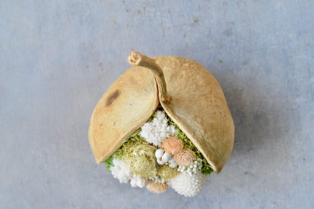 東京の花屋。幸福をもたらすと言われる縁起物のブッダナッツを器にした叢屋Kusamurayaドライフラワーアレンジ 誕生日・記念日ギフトや自宅インテリアにおすすめ。