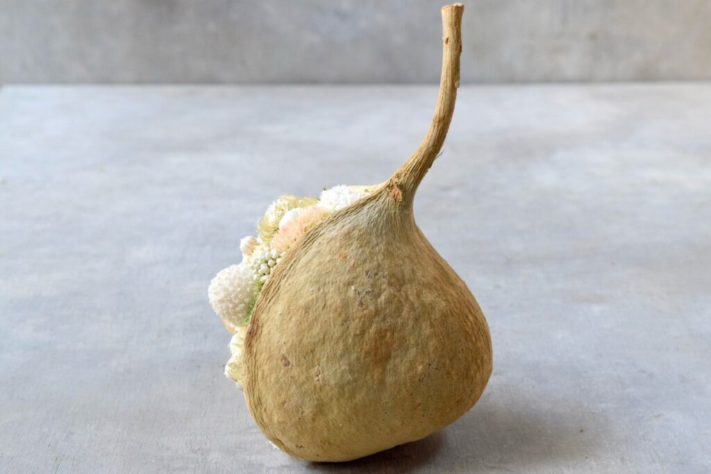 東京の花屋。幸福をもたらすと言われる縁起物のブッダナッツを器にした叢屋Kusamurayaドライフラワーアレンジ 誕生日・記念日ギフトや自宅インテリアにおすすめ。