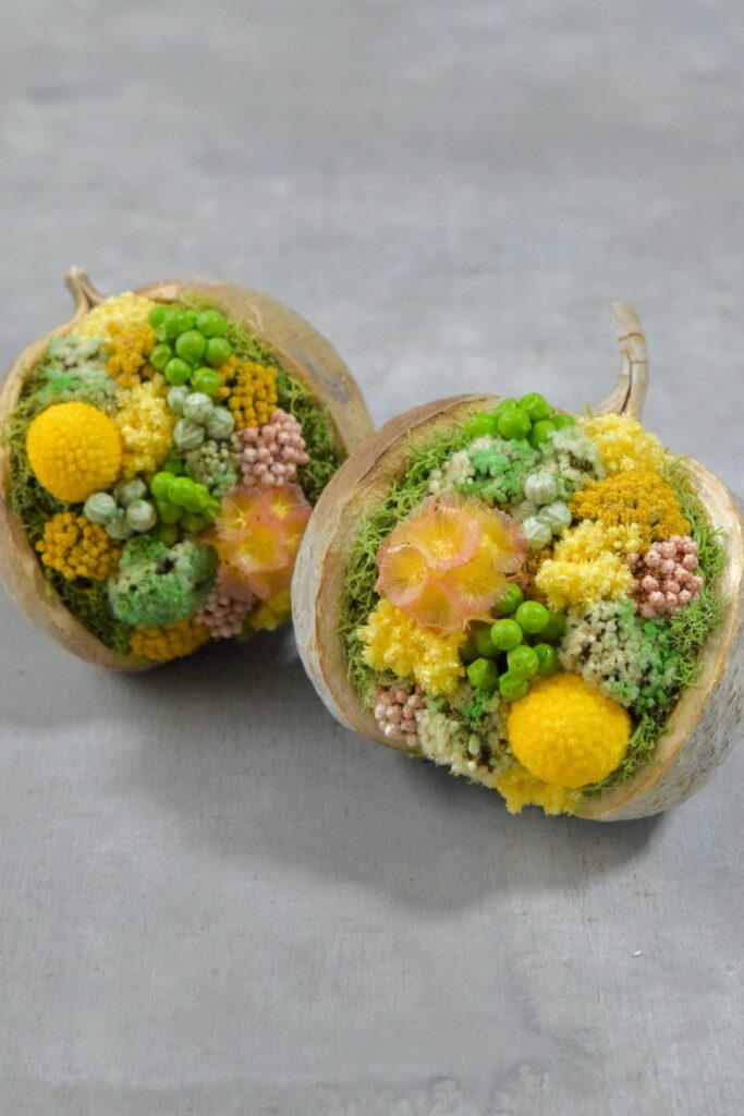 東京の花屋『叢屋kusamuraya』が手がける幸福をもたらすと言われる縁起物のブッダナッツを器にしたドライフラワーアレンジ。誕生日・記念日ギフトや自宅インテリアにおすすめです。
