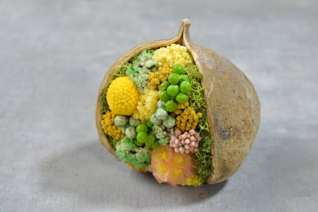 東京の花屋『叢屋kusamuraya』が手がける幸福をもたらすと言われる縁起物のブッダナッツを器にしたドライフラワーアレンジ。誕生日・記念日ギフトや自宅インテリアにおすすめです。
