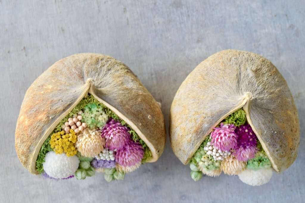 東京の花屋『叢屋kusamuraya』が手がける幸福をもたらすと言われる縁起物のブッダナッツを器にしたドライフラワーアレンジ。誕生日・記念日ギフトや自宅インテリアにおすすめです。
