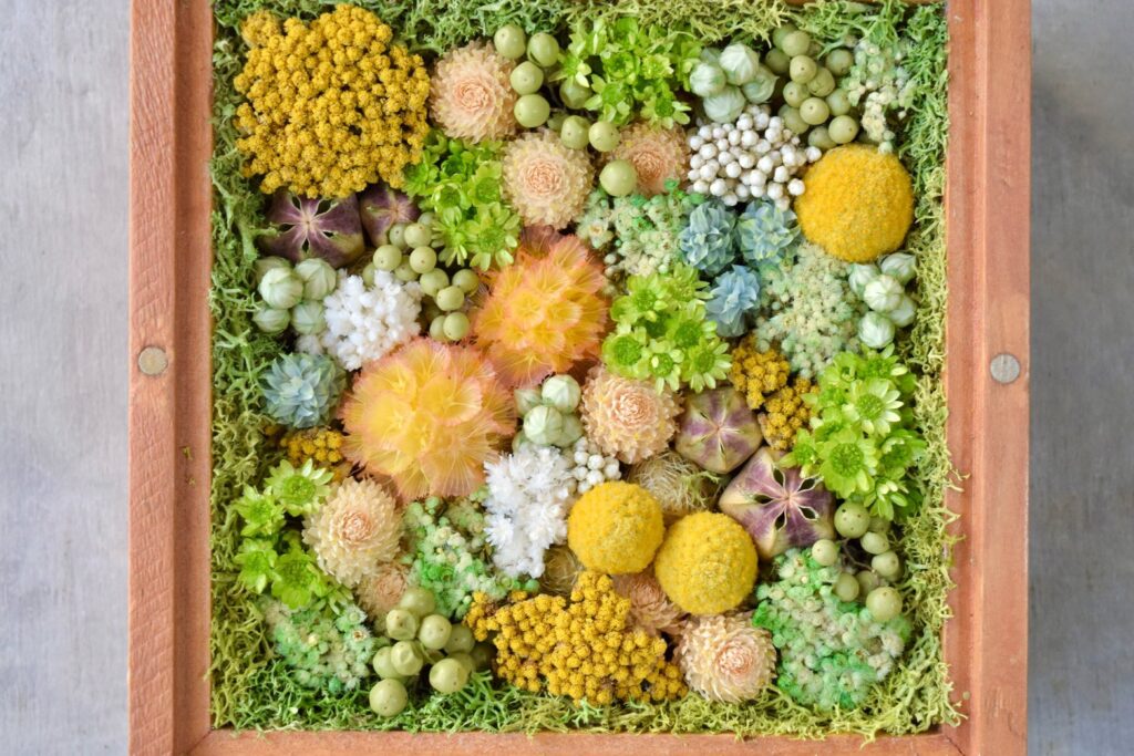 森の奥でひっそりと息づいているような、小さな植物の世界。東京の花屋『叢屋kusamuraya』が手がける、ナチュラルカラーのウッドボックス植物インテリア。