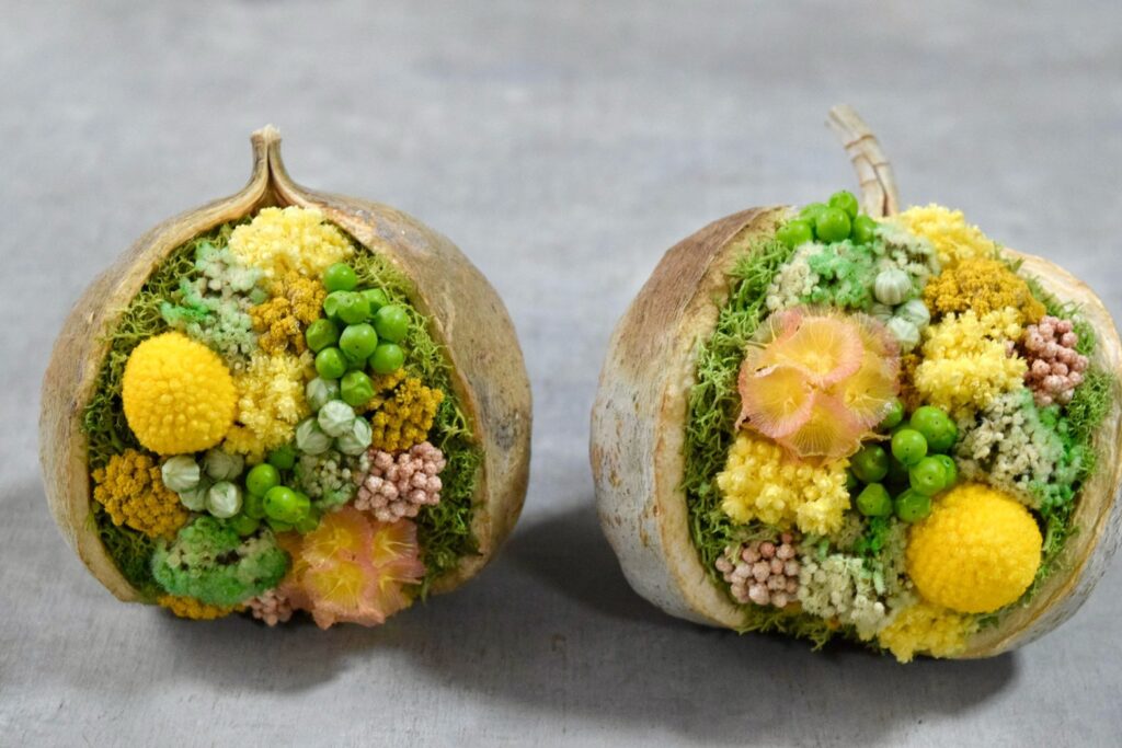 東京の花屋『叢屋kusamuraya』が手がける幸福をもたらすと言われる縁起物のブッダナッツを器にしたドライフラワーアレンジ。誕生日・記念日ギフトや自宅インテリアにおすすめです。
