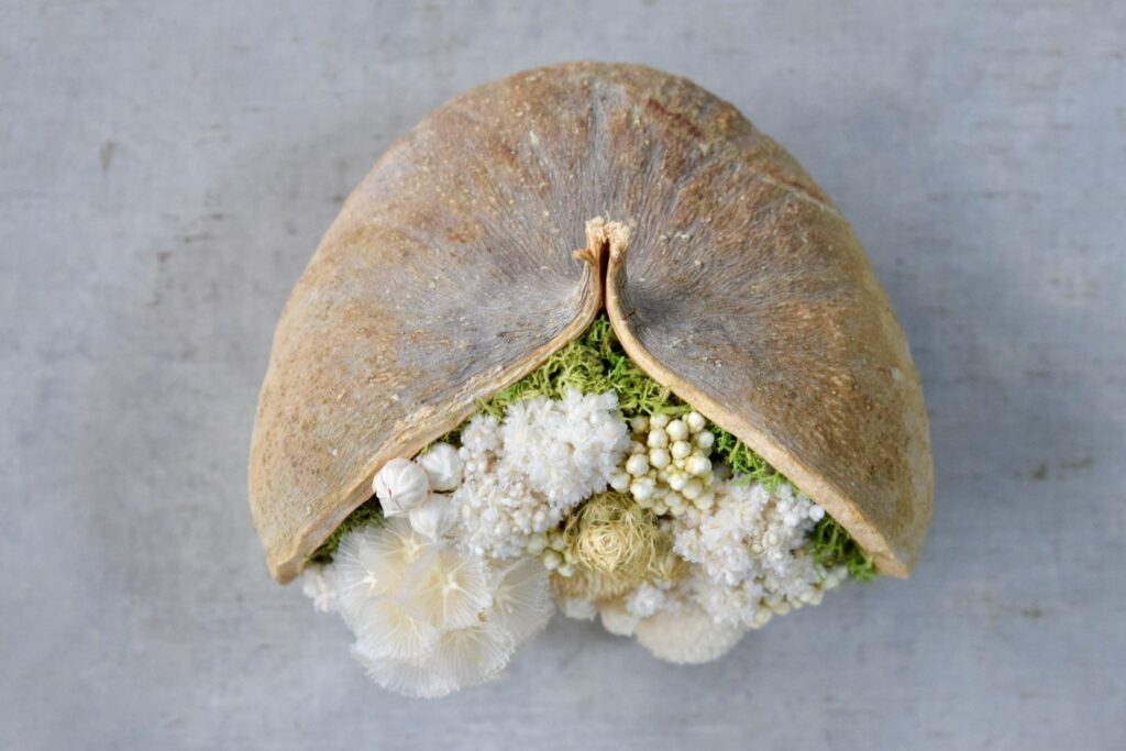 東京の花屋。幸福をもたらすと言われる縁起物のブッダナッツを器にした叢屋Kusamurayaドライフラワーアレンジ 誕生日・記念日ギフトや自宅インテリアにおすすめ。