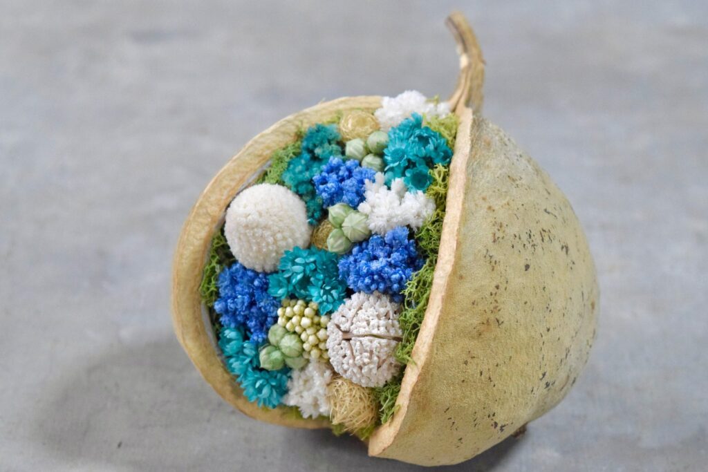 東京の花屋『叢屋kusamuraya』が手がける幸福をもたらすと言われる縁起物のブッダナッツを器にしたドライフラワーアレンジ