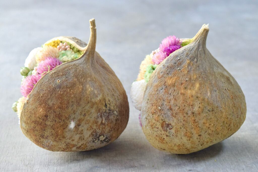 東京の花屋『叢屋kusamuraya』が手がける幸福をもたらすと言われる縁起物のブッダナッツを器にしたドライフラワーアレンジ。誕生日・記念日ギフトや自宅インテリアにおすすめです。
