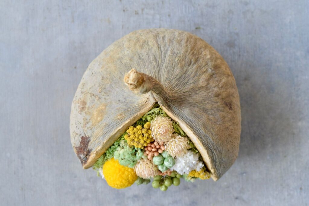 東京の花屋。幸福をもたらすと言われる縁起物のブッダナッツを器にした叢屋Kusamurayaドライフラワーアレンジ 誕生日・記念日ギフトや自宅インテリアにおすすめ。