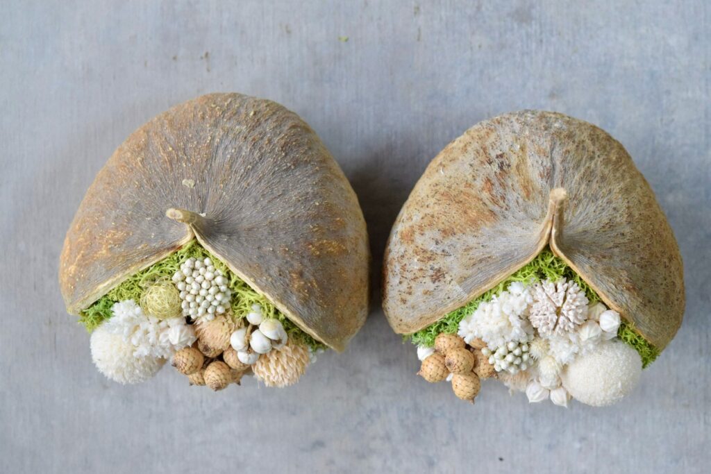 東京の花屋『叢屋kusamuraya』が手がける幸福をもたらすと言われる縁起物のブッダナッツを器にしたドライフラワーアレンジ