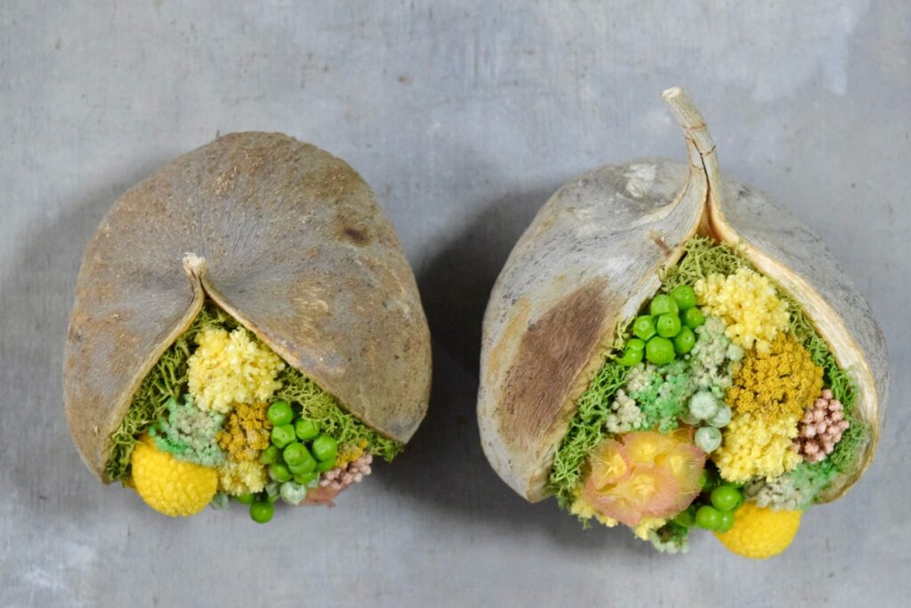 東京の花屋『叢屋kusamuraya』が手がける幸福をもたらすと言われる縁起物のブッダナッツを器にしたドライフラワーアレンジ。誕生日・記念日ギフトや自宅インテリアにおすすめです。
