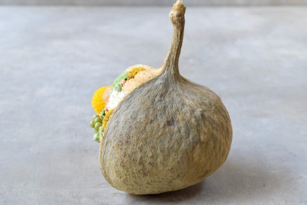 東京の花屋。幸福をもたらすと言われる縁起物のブッダナッツを器にした叢屋Kusamurayaドライフラワーアレンジ 誕生日・記念日ギフトや自宅インテリアにおすすめ。