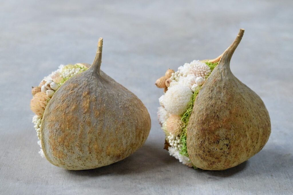 東京の花屋『叢屋kusamuraya』が手がける幸福をもたらすと言われる縁起物のブッダナッツを器にしたドライフラワーアレンジ