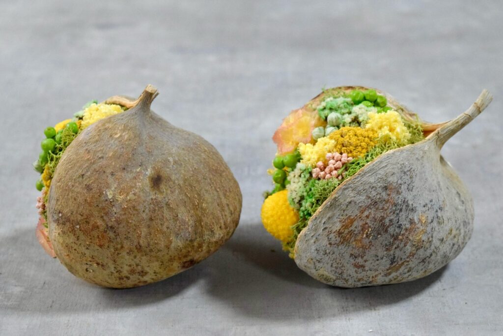 東京の花屋『叢屋kusamuraya』が手がける幸福をもたらすと言われる縁起物のブッダナッツを器にしたドライフラワーアレンジ。誕生日・記念日ギフトや自宅インテリアにおすすめです。
