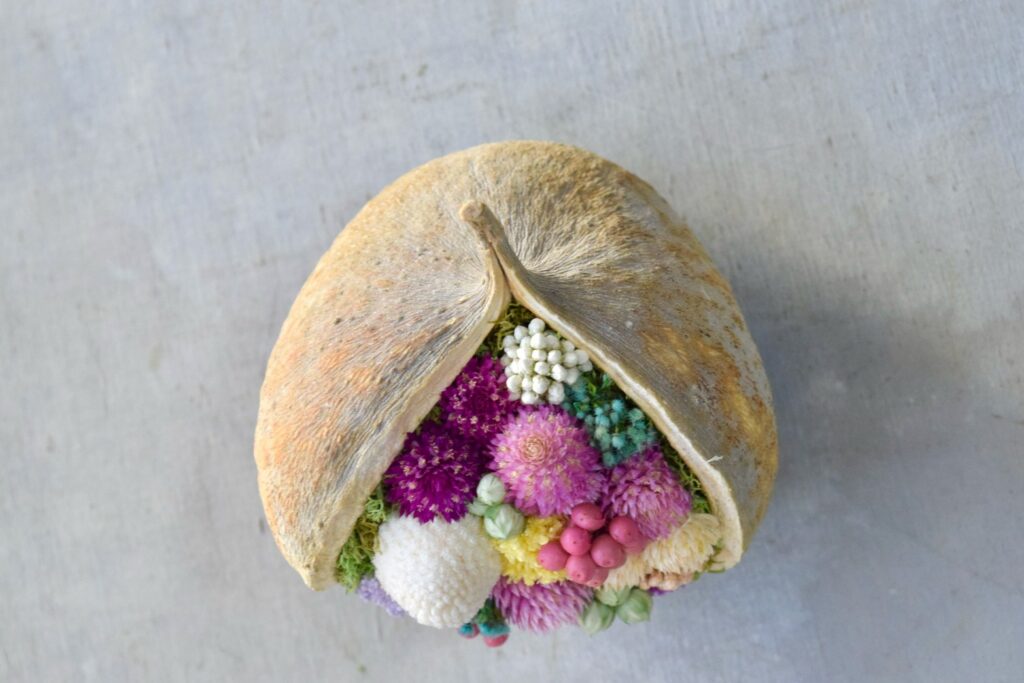 東京の花屋『叢屋kusamuraya』が手がける幸福をもたらすと言われる縁起物のブッダナッツを器にしたドライフラワーアレンジ