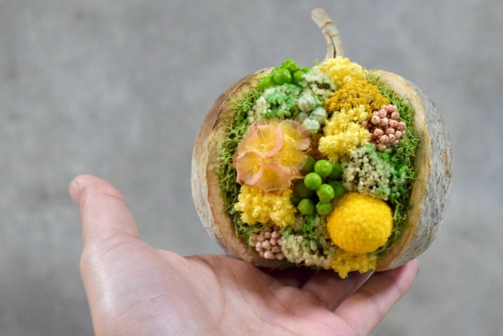 東京の花屋『叢屋kusamuraya』が手がける幸福をもたらすと言われる縁起物のブッダナッツを器にしたドライフラワーアレンジ。誕生日・記念日ギフトや自宅インテリアにおすすめです。
