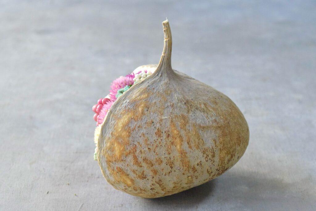 東京の花屋『叢屋kusamuraya』が手がける幸福をもたらすと言われる縁起物のブッダナッツを器にしたドライフラワーアレンジ