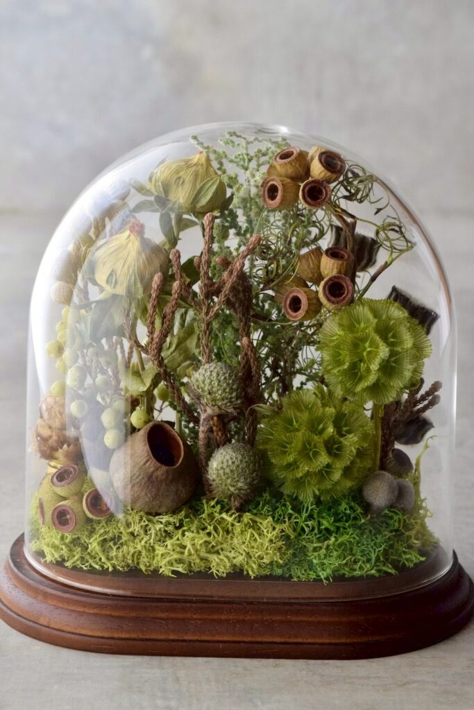 東京の花屋 叢屋Kusamurayaのドライフラワーインテリア雑貨。アンティーク調のドーム型ケースに、植物標本をイメージしてデザインされたドライフラワーインテリア。自宅用やギフト用として人気のアレンジメントです。