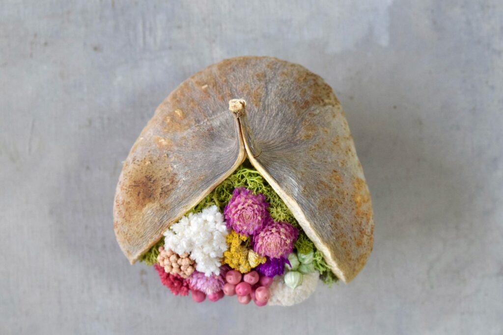 東京の花屋『叢屋kusamuraya』が手がける幸福をもたらすと言われる縁起物のブッダナッツを器にしたドライフラワーアレンジ