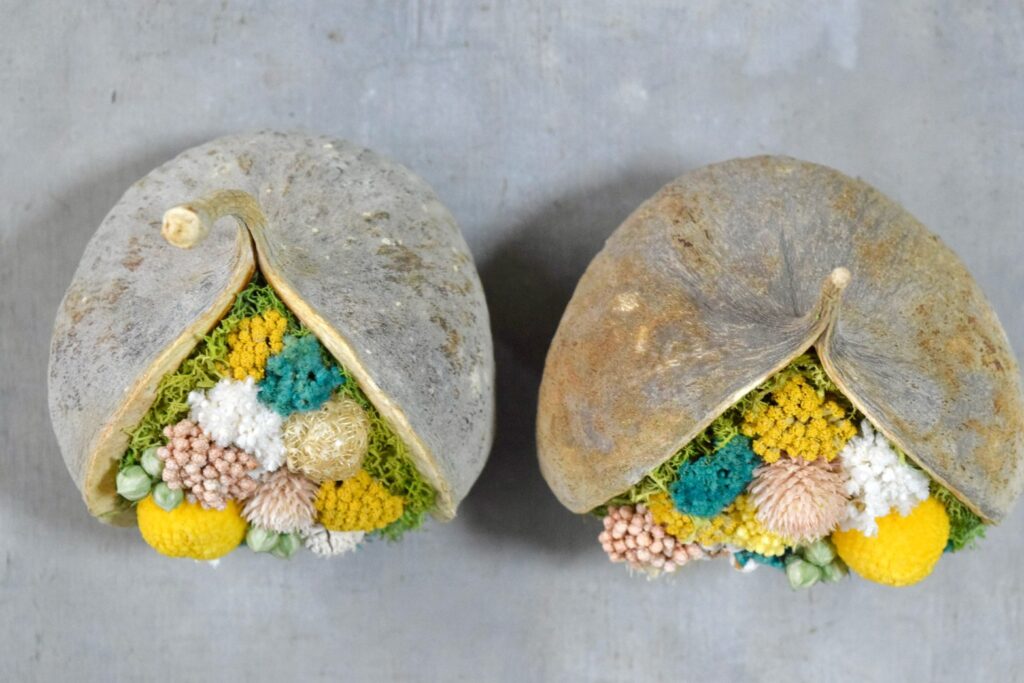 東京の花屋『叢屋kusamuraya』が手がける幸福をもたらすと言われる縁起物のブッダナッツを器にしたドライフラワーアレンジ