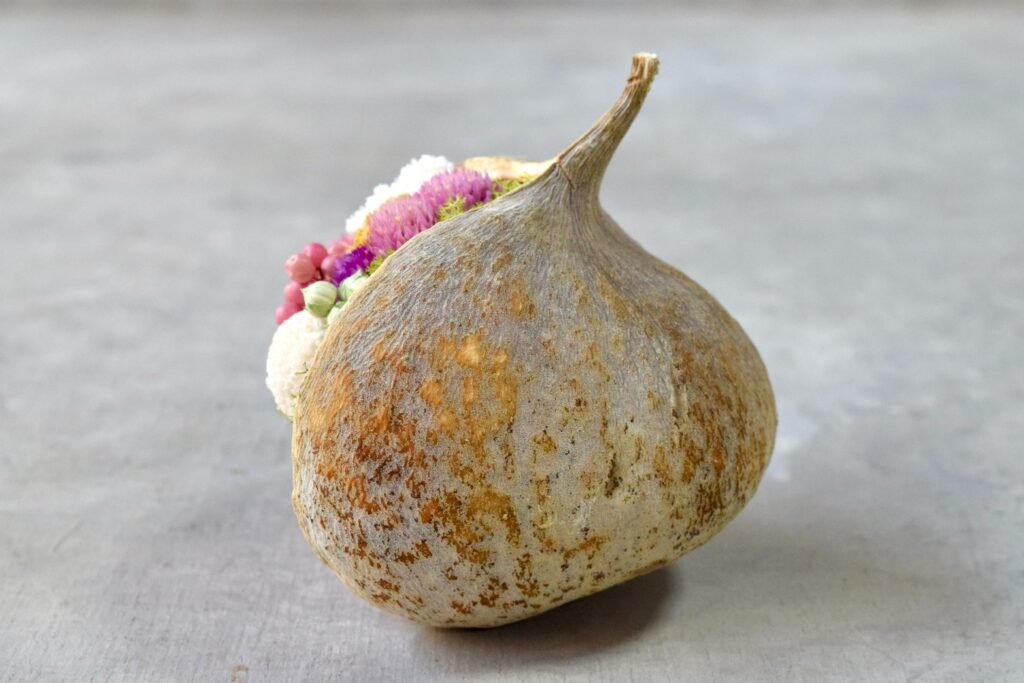 東京の花屋『叢屋kusamuraya』が手がける幸福をもたらすと言われる縁起物のブッダナッツを器にしたドライフラワーアレンジ