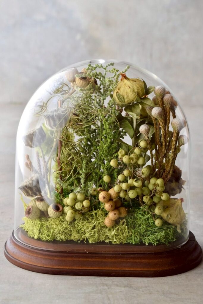 東京の花屋 叢屋Kusamurayaのドライフラワーインテリア雑貨。アンティーク調のドーム型ケースに、植物標本をイメージしてデザインされたドライフラワーインテリア。自宅用やギフト用として人気のアレンジメントです。
