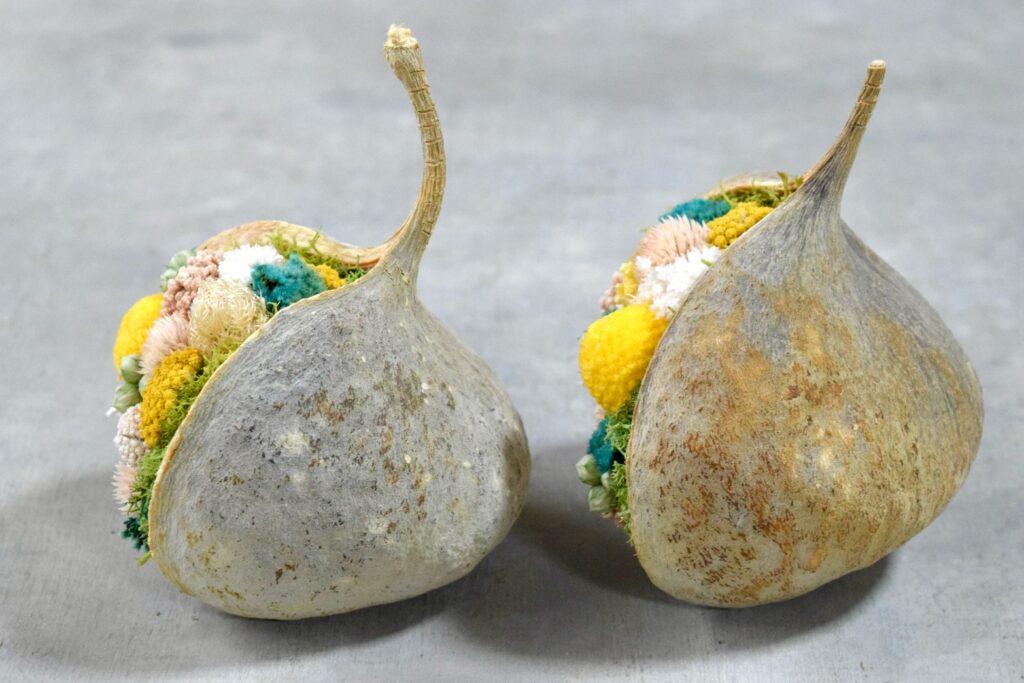 東京の花屋『叢屋kusamuraya』が手がける幸福をもたらすと言われる縁起物のブッダナッツを器にしたドライフラワーアレンジ