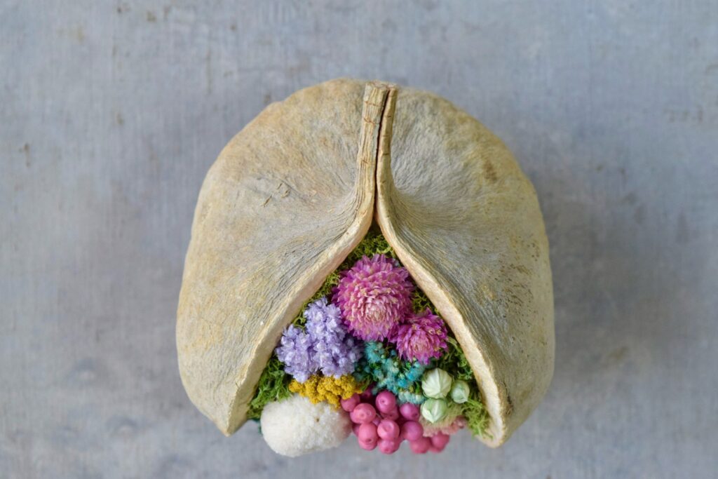 東京の花屋。幸福をもたらすと言われる縁起物のブッダナッツを器にした叢屋Kusamurayaドライフラワーアレンジ 誕生日・記念日ギフトや自宅インテリアにおすすめ。