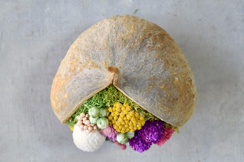 東京の花屋。幸福をもたらすと言われる縁起物のブッダナッツを器にした叢屋Kusamurayaドライフラワーアレンジ 誕生日・記念日ギフトや自宅インテリアにおすすめ。