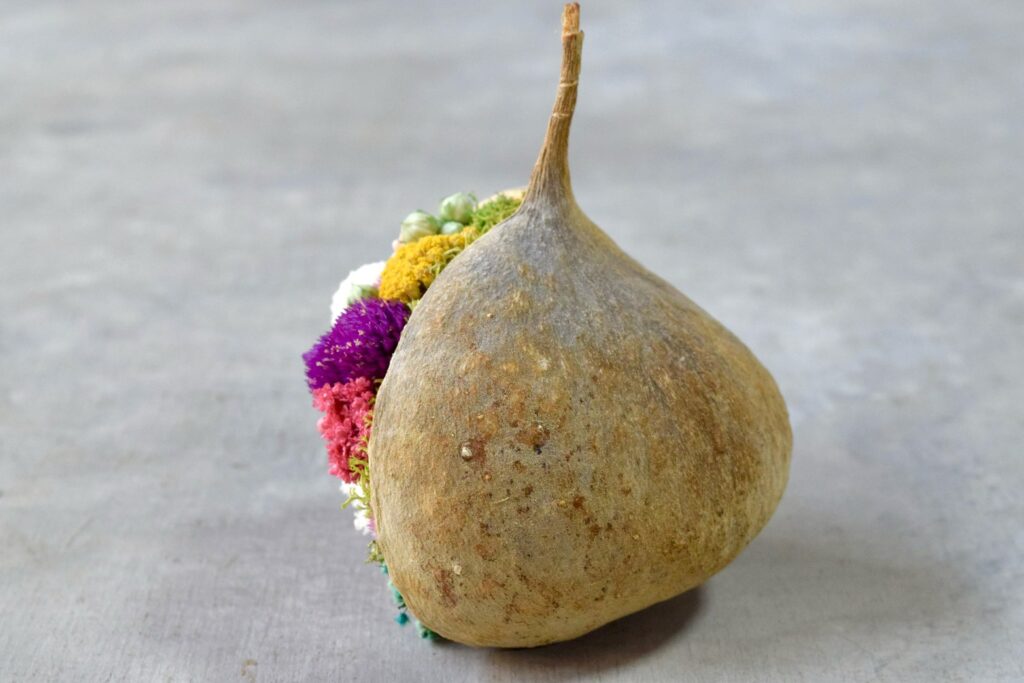 東京の花屋。幸福をもたらすと言われる縁起物のブッダナッツを器にした叢屋Kusamurayaドライフラワーアレンジ 誕生日・記念日ギフトや自宅インテリアにおすすめ。