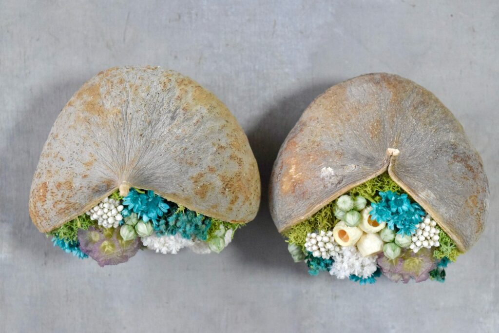 東京の花屋『叢屋kusamuraya』が手がける幸福をもたらすと言われる縁起物のブッダナッツを器にしたドライフラワーアレンジ