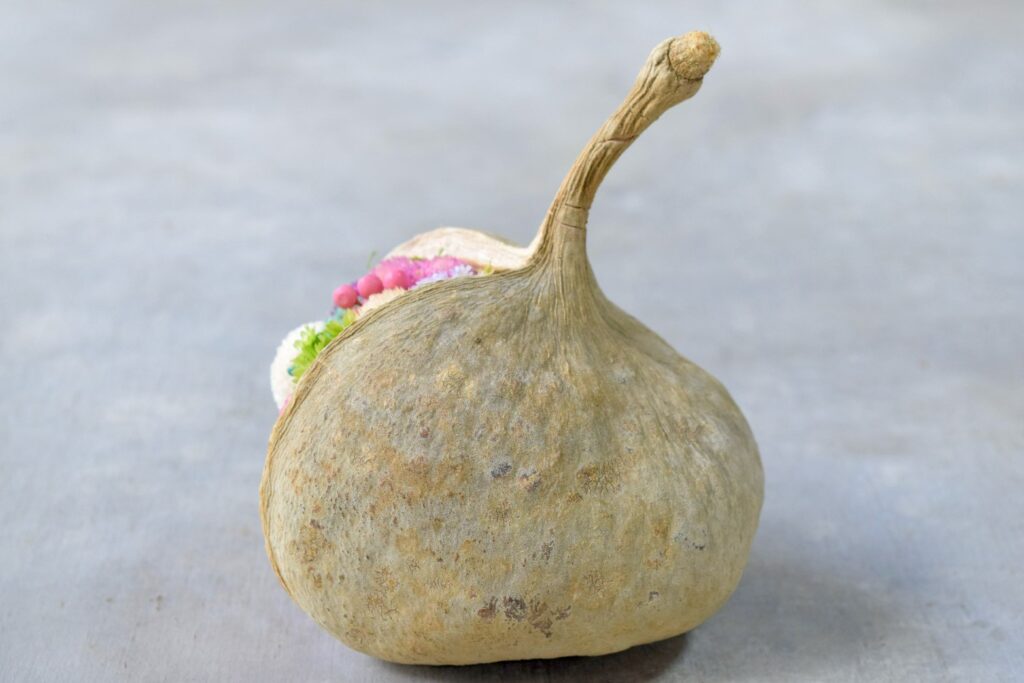 東京の花屋『叢屋kusamuraya』が手がける幸福をもたらすと言われる縁起物のブッダナッツを器にしたドライフラワーアレンジ。誕生日・記念日ギフトや自宅インテリアにおすすめです。