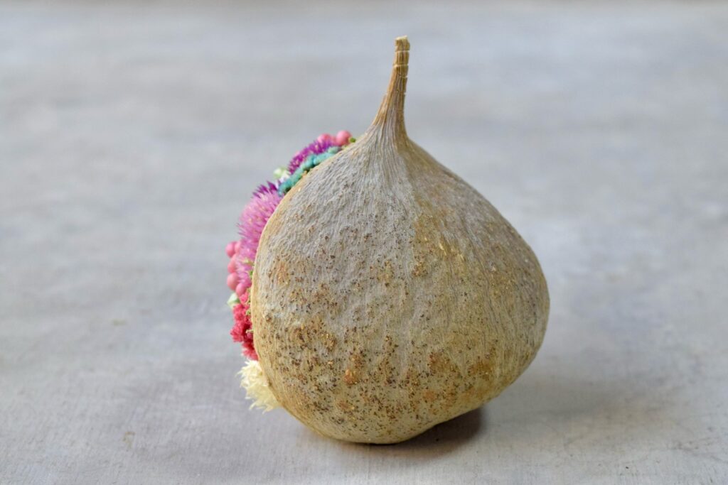 東京の花屋。幸福をもたらすと言われる縁起物のブッダナッツを器にした叢屋Kusamurayaドライフラワーアレンジ 誕生日・記念日ギフトや自宅インテリアにおすすめ。