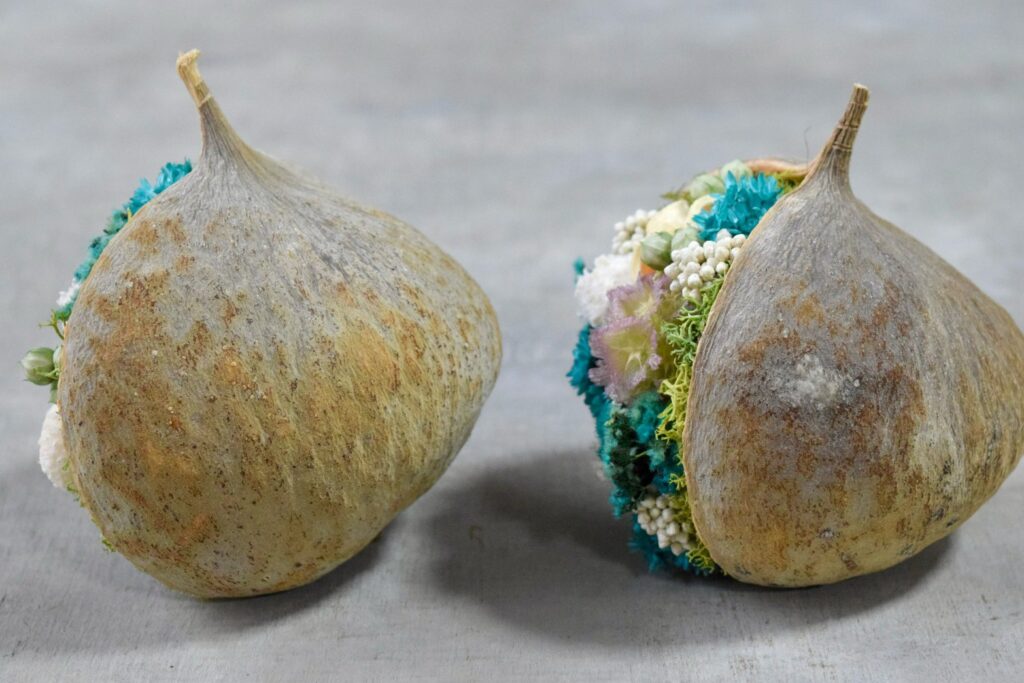 東京の花屋『叢屋kusamuraya』が手がける幸福をもたらすと言われる縁起物のブッダナッツを器にしたドライフラワーアレンジ