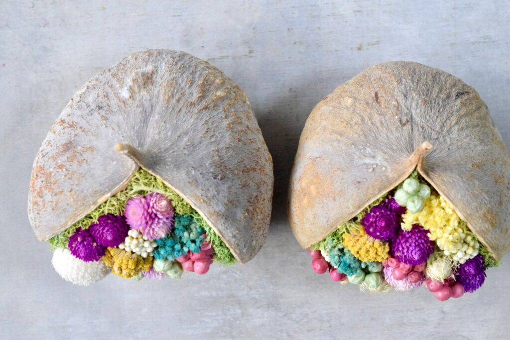 東京の花屋『叢屋kusamuraya』が手がける幸福をもたらすと言われる縁起物のブッダナッツを器にしたドライフラワーアレンジ。誕生日・記念日ギフトや自宅インテリアにおすすめです。