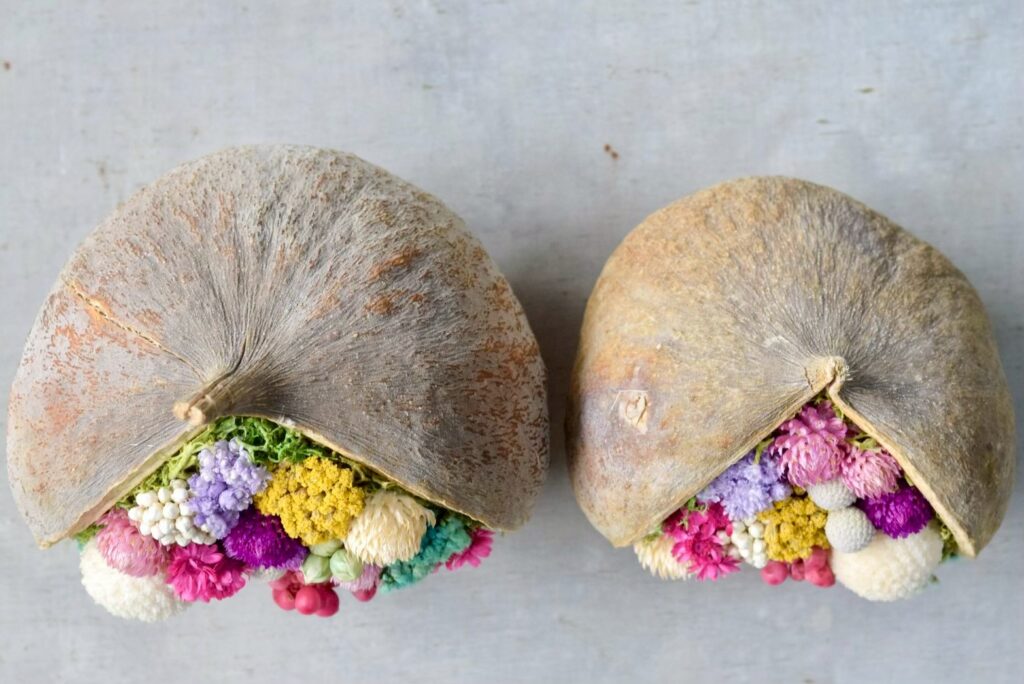 東京の花屋『叢屋kusamuraya』が手がける幸福をもたらすと言われる縁起物のブッダナッツを器にしたドライフラワーアレンジ