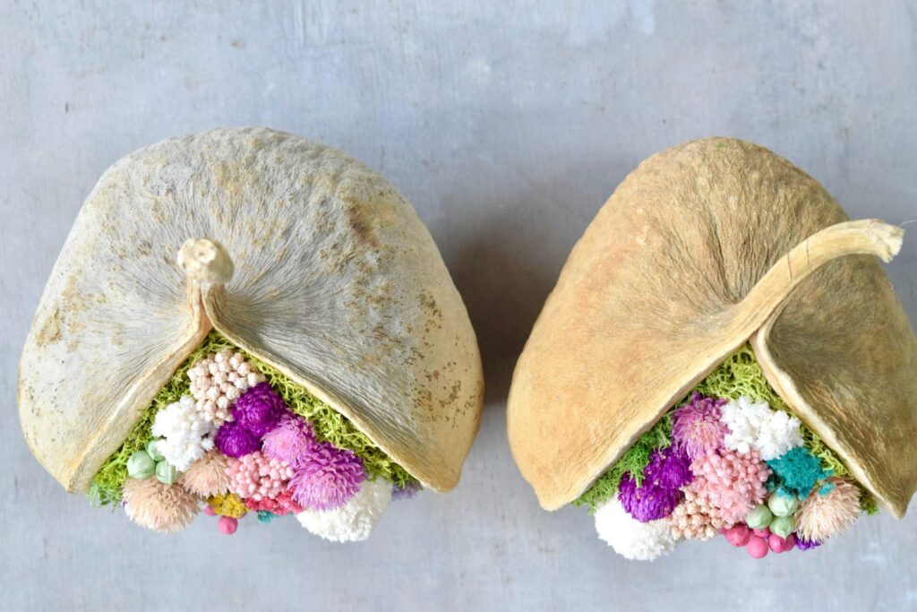 東京の花屋。幸福をもたらすと言われる縁起物のブッダナッツを器にした叢屋Kusamurayaドライフラワーアレンジ 誕生日・記念日ギフトや自宅インテリアにおすすめ。