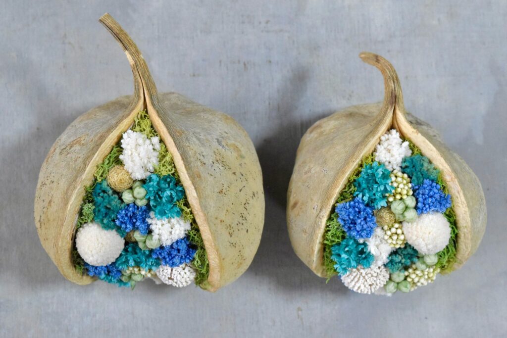 東京の花屋『叢屋kusamuraya』が手がける幸福をもたらすと言われる縁起物のブッダナッツを器にしたドライフラワーアレンジ