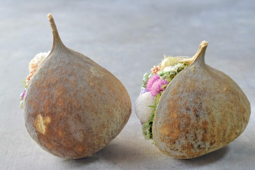 東京の花屋『叢屋kusamuraya』が手がける幸福をもたらすと言われる縁起物のブッダナッツを器にしたドライフラワーアレンジ。誕生日・記念日ギフトや自宅インテリアにおすすめです。
