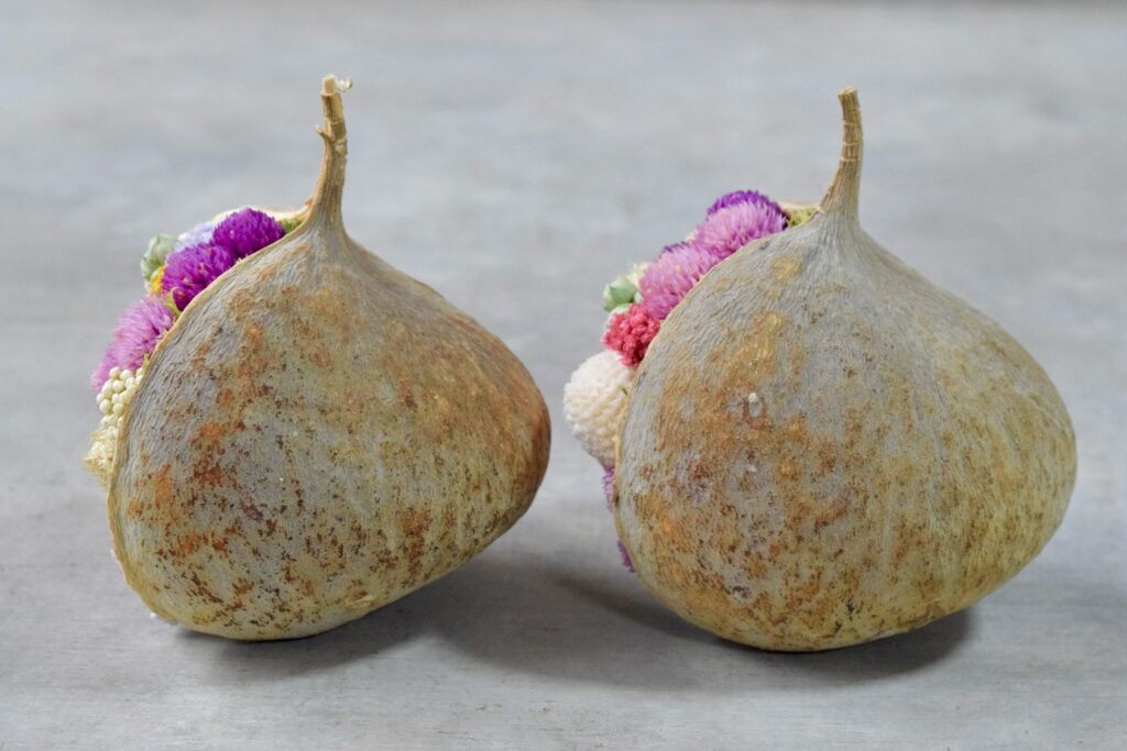 東京の花屋。幸福をもたらすと言われる縁起物のブッダナッツを器にした叢屋Kusamurayaドライフラワーアレンジ 誕生日・記念日ギフトや自宅インテリアにおすすめ。