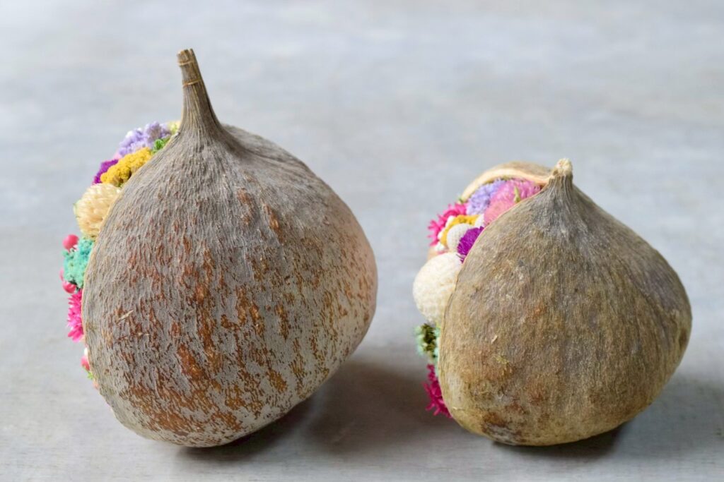 東京の花屋『叢屋kusamuraya』が手がける幸福をもたらすと言われる縁起物のブッダナッツを器にしたドライフラワーアレンジ