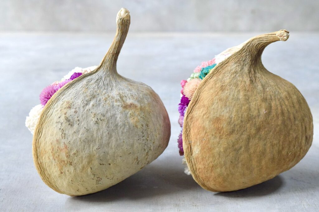 東京の花屋。幸福をもたらすと言われる縁起物のブッダナッツを器にした叢屋Kusamurayaドライフラワーアレンジ 誕生日・記念日ギフトや自宅インテリアにおすすめ。