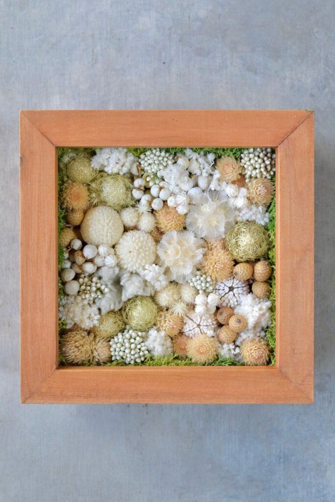 森の奥でひっそりと息づいているような、小さな植物の世界。東京の花屋『叢屋kusamuraya』が手がける、ナチュラルカラーのウッドボックス植物インテリア。