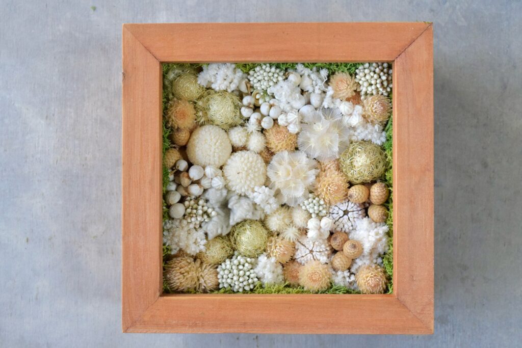 森の奥でひっそりと息づいているような、小さな植物の世界。東京の花屋『叢屋kusamuraya』が手がける、ナチュラルカラーのウッドボックス植物インテリア。