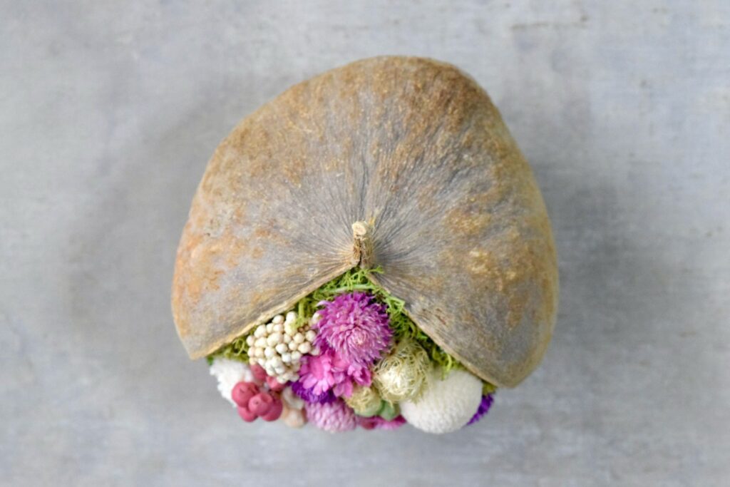 東京の花屋。幸福をもたらすと言われる縁起物のブッダナッツを器にした叢屋Kusamurayaドライフラワーアレンジ 誕生日・記念日ギフトや自宅インテリアにおすすめ。