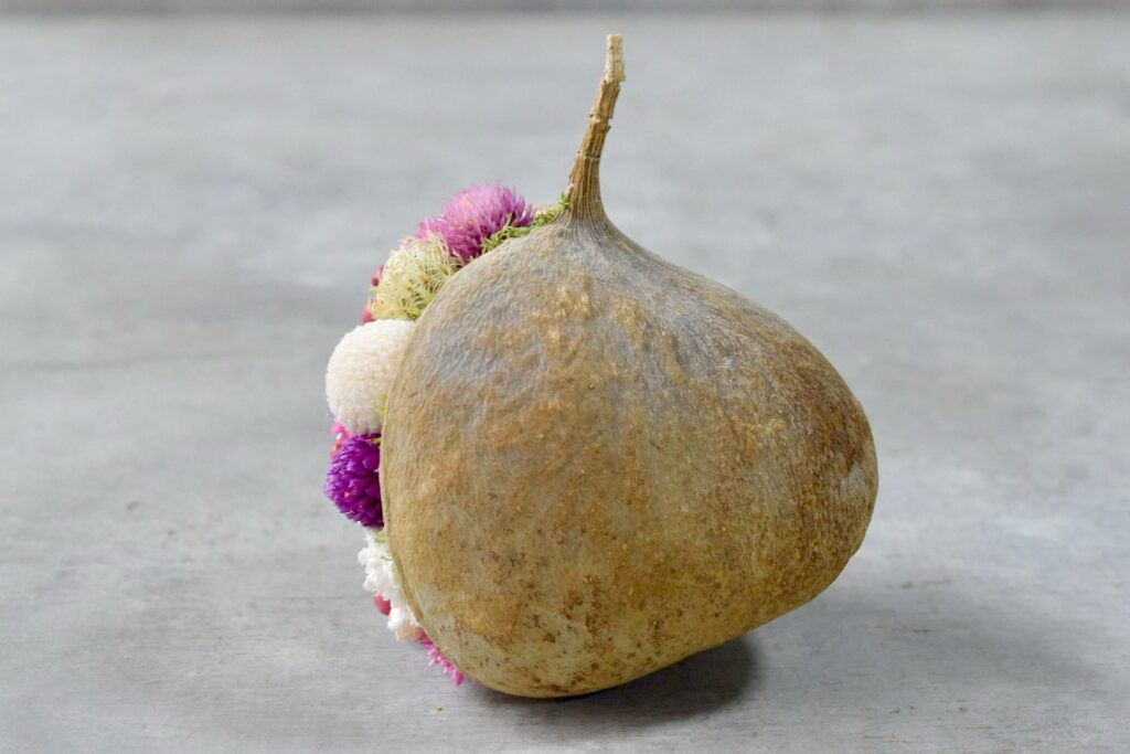 東京の花屋。幸福をもたらすと言われる縁起物のブッダナッツを器にした叢屋Kusamurayaドライフラワーアレンジ 誕生日・記念日ギフトや自宅インテリアにおすすめ。