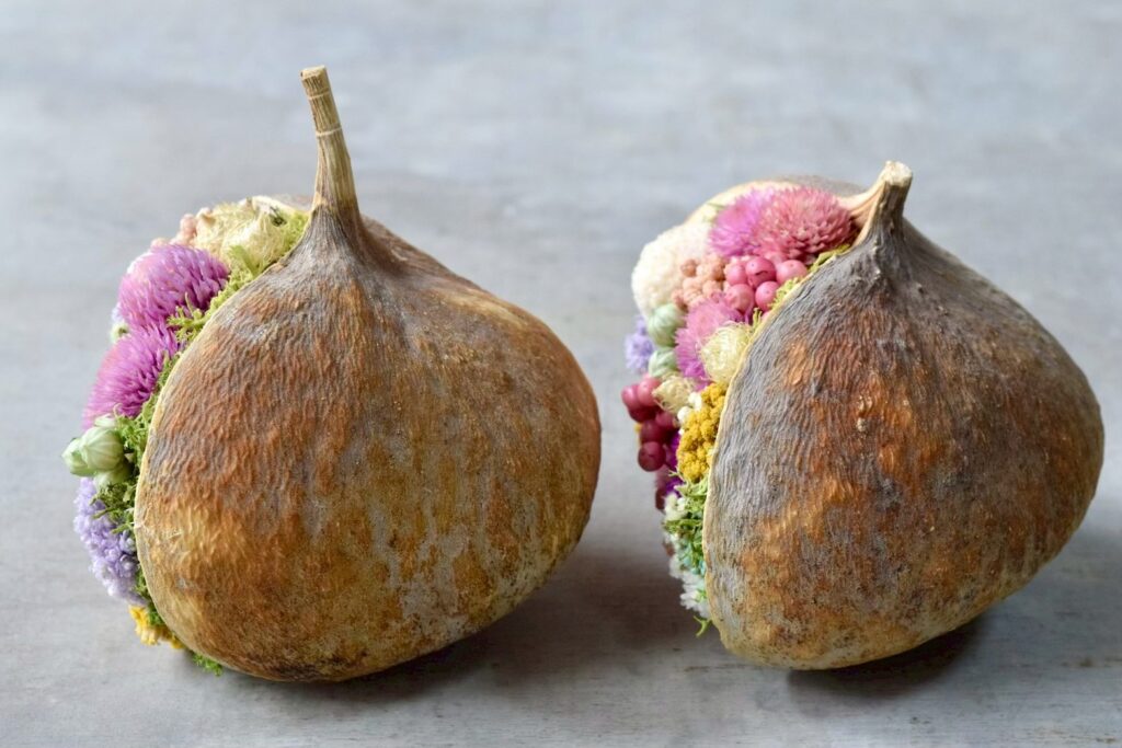 東京の花屋『叢屋kusamuraya』が手がける幸福をもたらすと言われる縁起物のブッダナッツを器にしたドライフラワーアレンジ