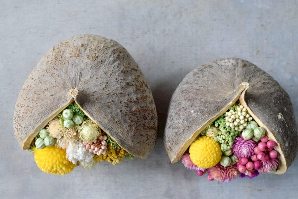 東京の花屋。幸福をもたらすと言われる縁起物のブッダナッツを器にした叢屋Kusamurayaドライフラワーアレンジ 誕生日・記念日ギフトや自宅インテリアにおすすめ。